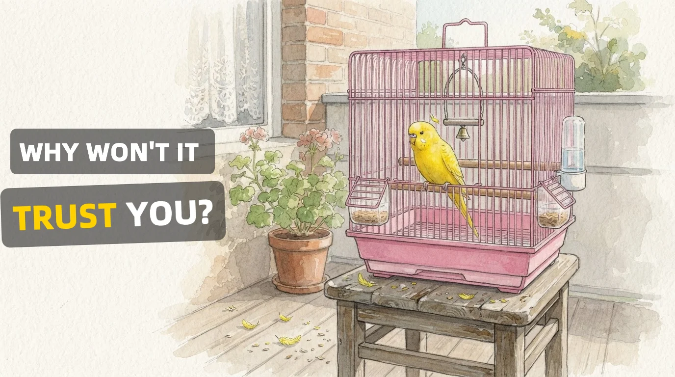 The Parrot and What I Expected