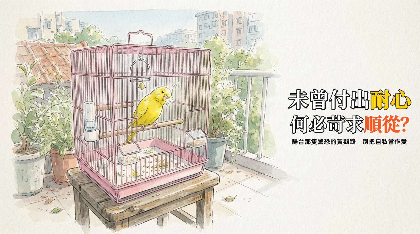 未曾施教的索取：陽台上的那隻黃鸚鵡